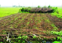 মহেশখালীতে বন্যায় কৃষি খাতে ২ কোটি ৭৫ লক্ষ টাকার ক্ষতি