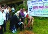 বেশি করে গাছ রোপণ ও গাছের যত্ন নেওয়ার আহ্বান