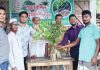 পেকুয়ায় বৃক্ষরোপণ কর্মসূচি