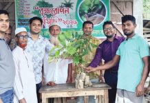 পেকুয়ায় বৃক্ষরোপণ কর্মসূচি