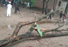 গাছের ডাল ভেঙে রাঙ্গুনিয়ায় ১২ বছরের শিশুর মর্মান্তিক মৃত্যু