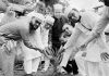 নানুপুরে শাহ এমদাদীয়ার বৃক্ষরোপণ ও চারা বিতরণ কর্মসূচি