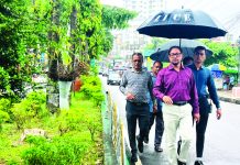 সবুজে সাজছে বিমানবন্দর থেকে মোহরার মিড আইল্যান্ড
