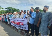 তৈলারদ্বীপ ব্রিজে টোলের নতুন দরপত্র বাতিলের দাবিতে মানববন্ধন