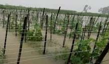 চন্দনাইশে কৃষি, মৎস্য ও যোগাযোগ খাতে ১২৮ কোটি টাকার ক্ষতি