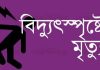 ধানের চারা রোপণের সময় বিদ্যুৎস্পৃষ্টে দুই কৃষকের মৃত্যু