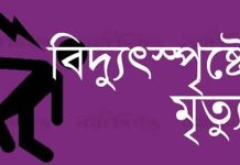 ধানের চারা রোপণের সময় বিদ্যুৎস্পৃষ্টে দুই কৃষকের মৃত্যু