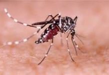 চট্টগ্রামে আরও ২৭ জন ডেঙ্গু আক্রান্ত