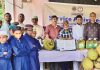 এতিমখানায় মৌসুমী ফল ও খাদ্য সামগ্রী বিতরণ
