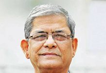 রাষ্ট্রপতি হচ্ছেন মির্জা ফখরুল?