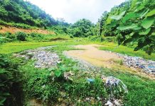 বান্দরবানে বর্জ্যে ঢেকেছে ১০ একর ফসলি জমি