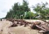 বাঁশখালীর উপকূলীয় বেড়িবাঁধে নতুন করে ভাঙন