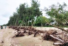 বাঁশখালীর উপকূলীয় বেড়িবাঁধে নতুন করে ভাঙন