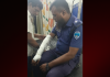 বোয়ালখালীতে পুলিশের হাতে কামড় দিয়ে হ্যান্ডকাফসহ পালালেন আসামী
