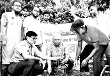 বিভিন্নস্থানে বৃক্ষরোপণ কর্মসূচি পালিত