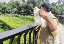 নতুন আবাসে ১৪ দিনেও খাবার গ্রহণ করেনি ধলা পাহাড়