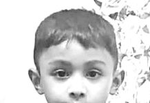 উঠানে খেলছিল শিশু, ভিমরুলের কামড়ে মৃত্যু