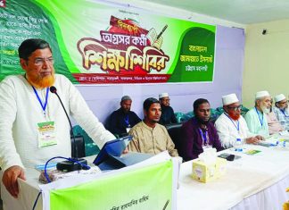 জুলাই বিপ্লবের পূর্ণতা দিতে সংস্কার ও গণভোট বাস্তবায়নের বিকল্প নেই