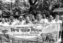 কাপ্তাই জাতীয় উদ্যানে এখন হাতির সংখ্যা ৪৫