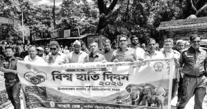 Elephant Kaptai
