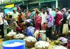 ফিশারিঘাটে ভোর থেকে জমে ওঠে ‘অভিজ্ঞতার বাজার’