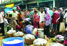 ফিশারিঘাটে ভোর থেকে জমে ওঠে ‘অভিজ্ঞতার বাজার’