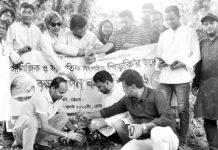 খিড়কির উদ্যোগে বৃক্ষরোপণ কর্মসূচি পালিত