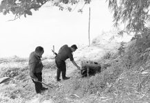 ইছামতীতে অবৈধ বালু উত্তোলন, বিকল ২ ড্রেজার