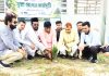 লিডার্সের মাসব্যাপী বৃক্ষরোপণ অভিযান শুরু