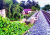 বছর পার হলেও খোলা ভাঙা রেলিং,রেললাইনে হাতি ফেরার শঙ্কা