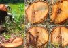 এক সপ্তাহে কাটা হলো দুই শতাধিক মাদার ট্রি
