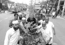 পশ্চিম মাদারবাড়ি লৌহ ব্যবসায়ী কল্যাণ সমিতির বৃক্ষরোপণ কর্মসূচি