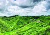 সড়ক নির্মাণ বন্ধে পরিবেশ মন্ত্রণালয়ের নির্দেশ, এলজিইডি সচিবকে চিঠি