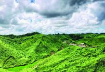 সড়ক নির্মাণ বন্ধে পরিবেশ মন্ত্রণালয়ের নির্দেশ, এলজিইডি সচিবকে চিঠি