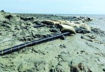 সন্দ্বীপের বাউরিয়া উপকূলে ভাঙন, ঝুঁকিতে সাবমেরিন ক্যাবল