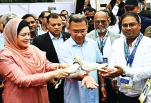 জ্বালানি সংকট মোকাবিলায় সরকার সর্বোচ্চ চেষ্টা চালিয়ে যাচ্ছে