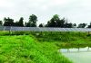 পটিয়া সরকারি মৎস্য বীজ উৎপাদন খামারের সম্ভাবনার দ্বার উন্মুক্ত হচ্ছে