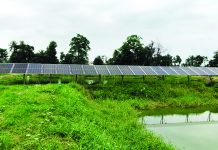 পটিয়া সরকারি মৎস্য বীজ উৎপাদন খামারের সম্ভাবনার দ্বার উন্মুক্ত হচ্ছে