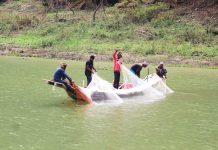 সাড়ে ৩ মাস পর কাপ্তাই হ্রদে মাছ আহরণ শুরু