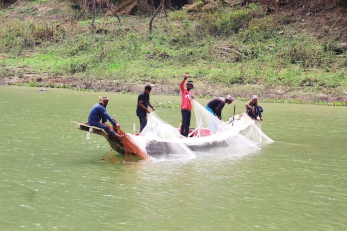 Rangamati Fish