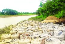 ইছামতীর ভাঙন রুখতে জিও ব্যাগ বসাল গ্রামবাসী