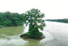 সবুজ টিলায় পর্যটনের হাতছানি, প্রয়োজন উদ্যোগ