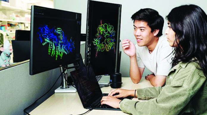 Virus