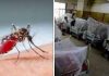 চট্টগ্রামে নতুন আরও ৩৬ জন ডেঙ্গু আক্রান্ত