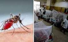 চট্টগ্রামে নতুন আরও ৩৬ জন ডেঙ্গু আক্রান্ত