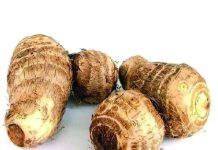 আঁরার কচুর ছরা খাইলে বুঝিবা ন খাইলে পস্তাইবা