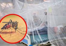 চট্টগ্রামে আরো ২৪ জন ডেঙ্গু আক্রান্ত
