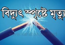 জমিতে বিদ্যুতের ছেঁড়া তার, ধানের চারা রোপণের সময় প্রাণ গেল শ্রমিকের