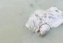কর্ণফুলীতে ভাসছিল তরুণীর বস্তাবন্দি মরদেহ