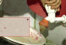 ওয়াসার পানিতে ময়লা ও দুর্গন্ধ